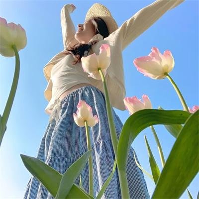 蜡笔小新第五季